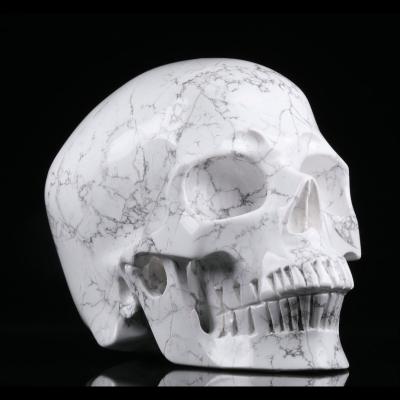 China Mr. Skull Wholesale 5.0 From China Advance Stones Crystal Decorations Large Howlite Skulls Healing Crystals for sale