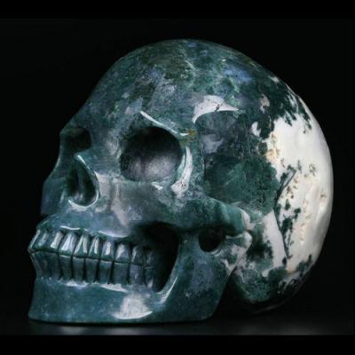 China Mr. Skull Wholesale Crystals from China 5 inch Moss Agate Skulls Large Home green Crystal Decor Natural Gemstone Crystal for sale