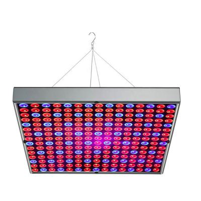 China VEG+BLOOM+COB Led Grow Light Chinese Manufacturer Double Headed Led Plant Light 480w For Indoor Plants Soilless Growing FOMEX-X1-480H-4 for sale