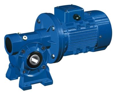 China High Speed Motovario NMRV 040 Worm Gear Reducer / Hollow Shaft Gearbox for sale