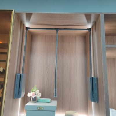 China Modern Heavy Duty Metal Pull Down Soft Close Hanger Wardrobe Lift for sale