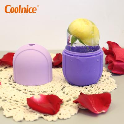 China New Design Beauty Product Silicone Face Ice Cube Ice Roller Stored Degradable Skin Care for sale