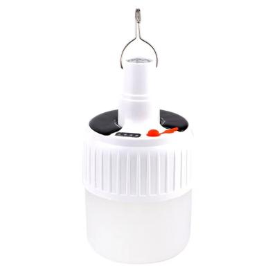 China Movable Smart Garden T-shape LED Light Bulb 30W With USB Solar Charging Charging Lighting 6-8hours for sale