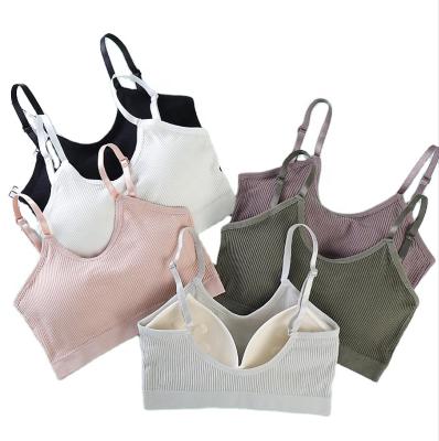 China New Women's Halter Bra Underwear Cup Bra Seamless Top Tube QUICK DRY Camisole Top Seamless Vest for sale