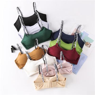 China Fashion Antibacterial Letter Ties Ladies Women Sport Free Size Tube Gym Working Top Bra for sale