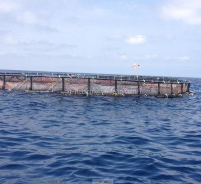 China For aquaculture fish farming cage nets for sale