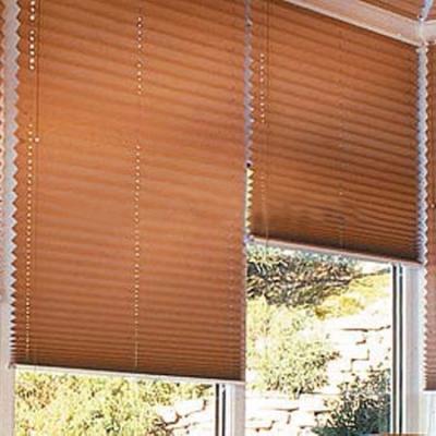 China ROMAN Good Quality Roller Outdoor Motorized Bamboo Window Blinds for sale