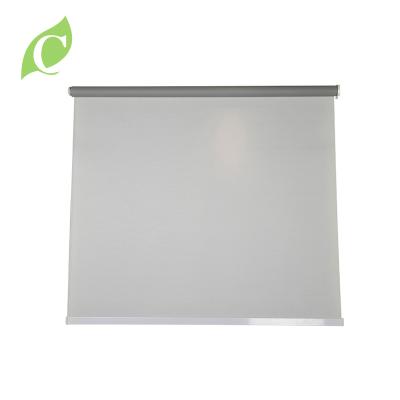 China Other Hot Selling Waterproof Window Decoration Roller Blackout French Door Blinds for sale