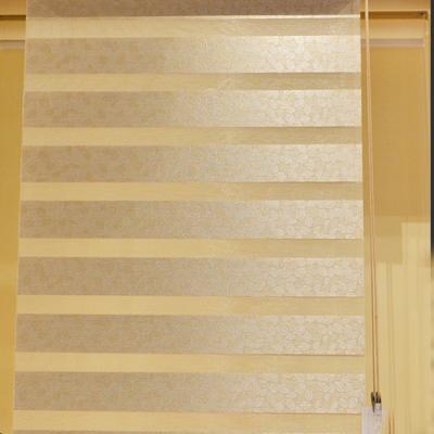 China Easy China Customized Color Zebra Roller Shutter Parts Venetian Blind Window for sale