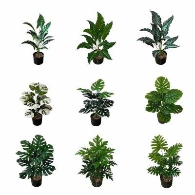 China Home Gardening Succulent Ornaments Potted Plant Art Decor Simulation European Style Gold Cactus Ornaments Artificial Plants for sale