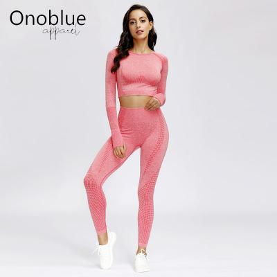 China Women's QUICK DRY Seamless Ladies Fitness Activewear Gym Sportswear Teams Sport Wear Workout Yoga Shark Running Set For Women for sale