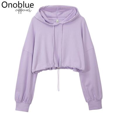 China Autumn 13 Color Fashion Plus Size Logo Design Cotton Street Casual Wear Sweatshirts Custom QUICK DRY Pullover Women's Crop Top 100% Top Hoodies for sale