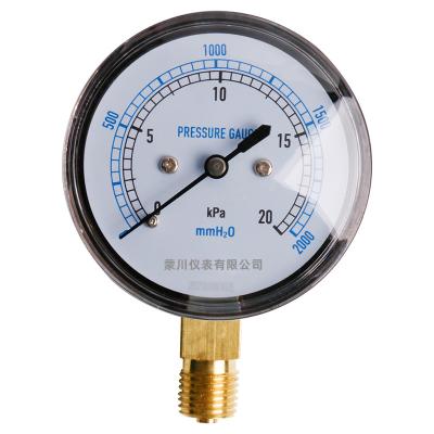 China High quality 60mm cast brass or stainless steel rion case connection bottom pressure gauge for sale