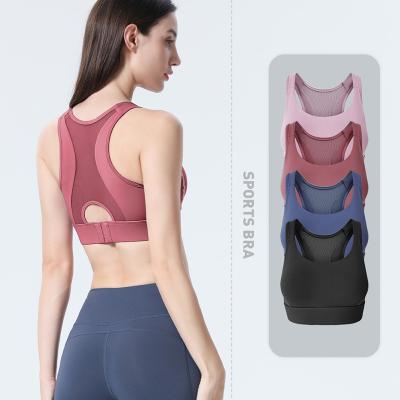 China Breathable New Bralette Beautiful Back Sports Underwear High Strength Shockproof Fitness Yoga No Wire Steel Ring Sports Padded Bra for sale