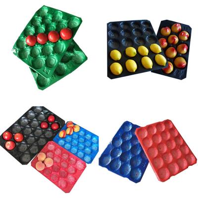 China Plastic Food PP Egg Tray for sale