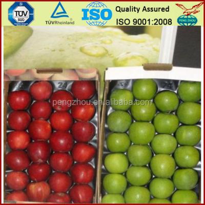 China Plastic Fruit Drip Trays Under Piece Fruit For Round Apple Tomato Fruit For Williams Pear Kaiser Pears Avocado for sale