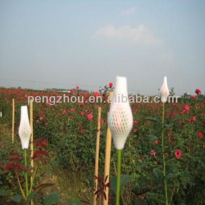 China For fresh fruit EPE rose bud protective net for sale