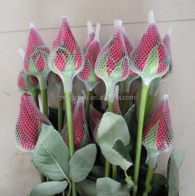 China Eco-friendly Rose Flower Bud Netting for sale