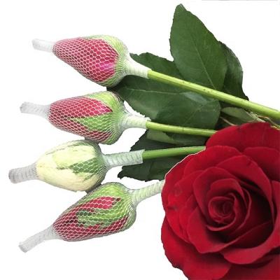 China EPE Flower Rose Bud Protection Wrap Sleeve Net For Free Samples for sale