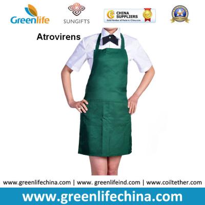 China Atrovirens dark green fashion color advertising cheap good apron with 2pcs front pockets for sale