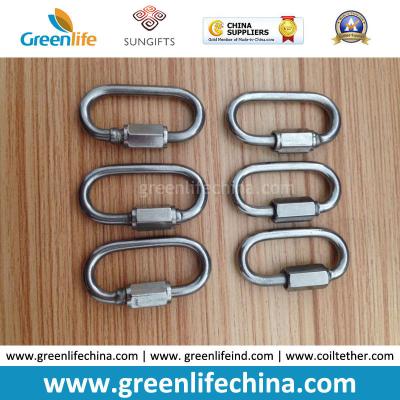 China Stainless Steel Polishing High Quality Oval Lock Ring Hook Popular Leash Accessories for sale