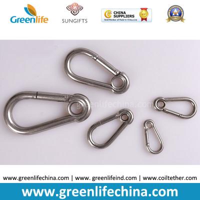 China Stainless Steel Full Sizes Heavy Duty Carabiner with Ring For Tools Attaching for sale