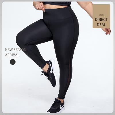 China Autumn Breathable Mesh Splicing Plus Size Sports Yoga Pants Sweat Solid Color Yoga Pants Absorption Quick Drying Elastic Running Gaiters for sale