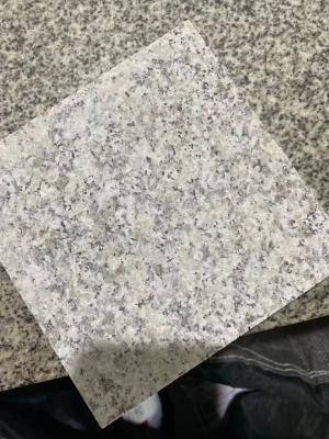 China Granit-Stein Gray Naturals G602 deckt geflammtes Gesicht für Treppenhaus-Schritt mit Ziegeln zu verkaufen