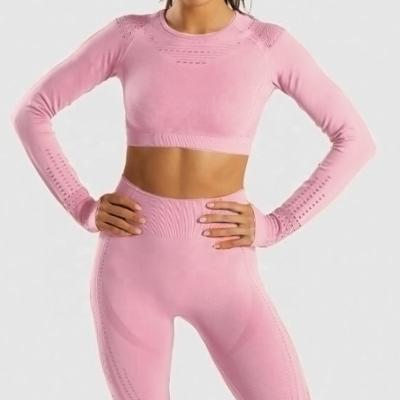 China New Women Gym Breathable Sportswear Fitness Long Sleeve Crop Tops Running Pants Suit Armor Gaiters Gym Yoga Set Jogging Suits for sale