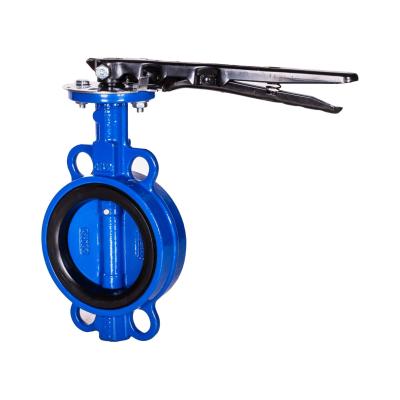 China Performance Top Grade Ductile Iron Anticorrosion Sealing Widely Used Support Type Flanged Butterfly Valve for sale