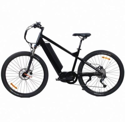 China Wholesale Aluminum Alloy Electric Mountain Bike Outdoor Sports Bike 1000W Electric Cross Country Bike New for sale