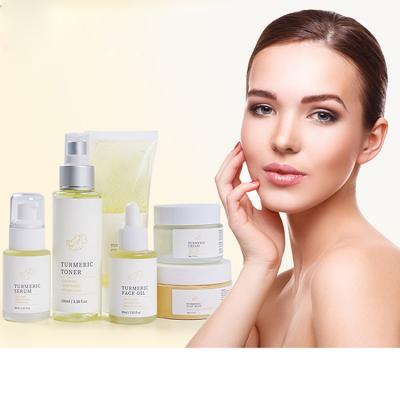 China Skin Treatment Best Selling Organic Skin Care Oil Serum Anti Acne Vegan Face Care Facial Cream Private Label Whitening Turmeric Skin Care Set for sale