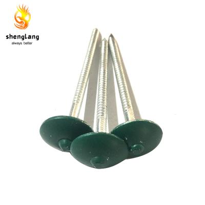 China Professional Umbrella Head Nail  Smooth Shank Roofing  Stainless Steel Material for sale