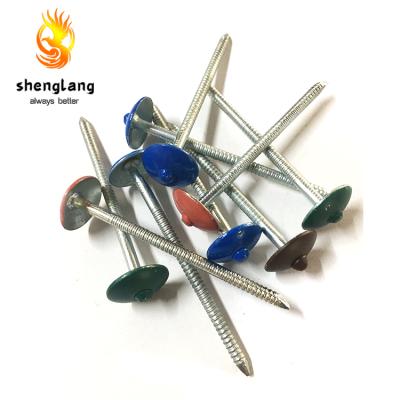 China China Supply Coil Roofing Nails Twisted Roofing Nails Stainless Steel zu verkaufen