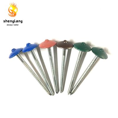 China Stainless Steel Umbrella Head Nail 9G-13G Customized Size ISO Certification for sale