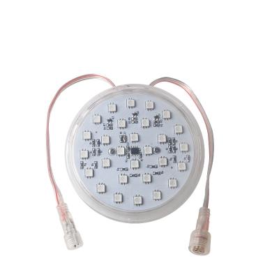 China Theme Park Aglare Factory Good Price Point Light Chameleon Led Light Control By DMX512 WS2811 Pixel Led Light for sale