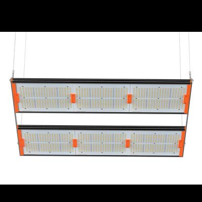 China Seed Starting Aglare 800W LED Grow Light, Dual Switch and Dual Full Spectrum LED Chips Grow Veg Light Hydroponic Indoor Plants and Flower for sale