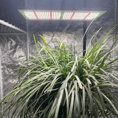 China Seed Starting High Aglare Ppfd Panel With 660nm lm301h Full Spectrum With 240w 4*4ft Led Grow Light for sale