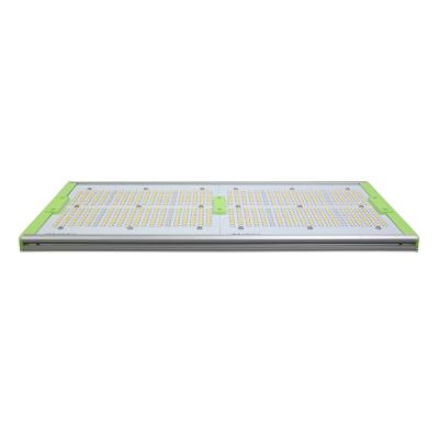 China Seed Starting Aglare 240w Led Grow Light Full Spectrum With Plant Growth Led Light 240w for sale