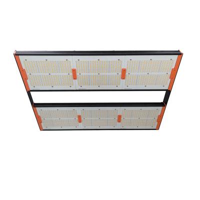 China Seed Starting Aglare 800w LED Grow Light Full Spectrum Plant Growing Lamps With High PPFD For 2x2ft Grow Tent for sale