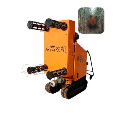 China Factory Equipment High Efficiency Agricultural Sugarcane Leaf Cutting Machine All Automatic Sugarcane Leaf Cutters Farmer Machine for sale