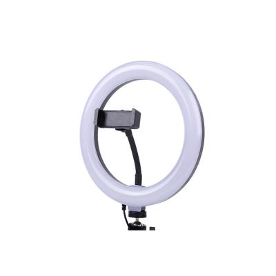 China Mini 2022 New Design 8inch LED Private Live Makeup Ring Video Ring Lamp For Photography for sale