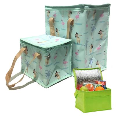 China Eco Insulated Tote Cooler Lunch Bag Thermal Insulated Food, Ladies Surfing Beach Insulated Shopping Bag Different Size Printed With Zipper for sale