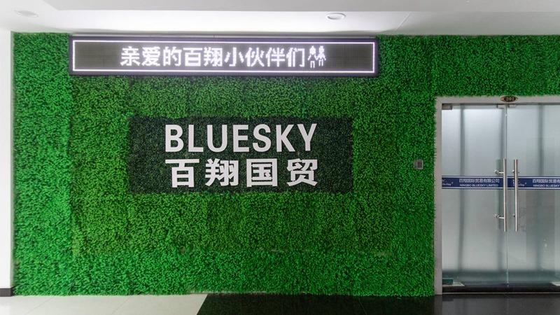 Verified China supplier - Ningbo High-Tech Bluesky Manufactory & Trading Co., Ltd.