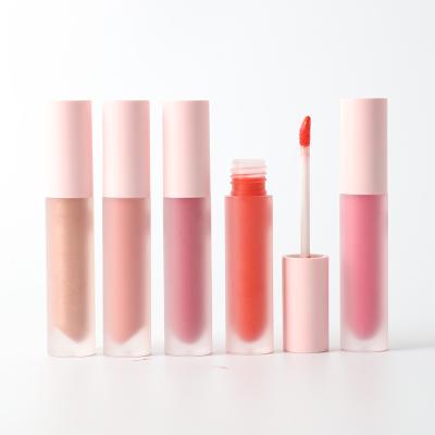 China 2021 Wholesale High Quality Private Label Cosmetics Women's Lip Gloss Foundation Waterproof Gloss Matte Matte Nude Volume for sale