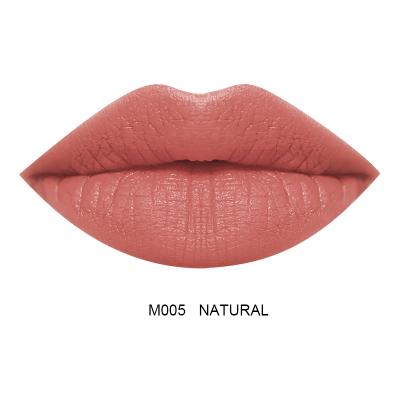 China Waterproof 12 Years Factory High Quality Makeup Matte Lipgloss DIY Colors Long Lasting Waterproof Lip Gloss for sale