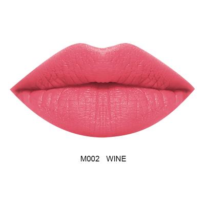 China Wholesale high quality private label manufacturer lip gloss matte waterproof diy makeup for sale