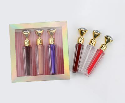 China Fashion halal waterproof moisturizing cheap clear cosmetics matte lip gloss set for sale