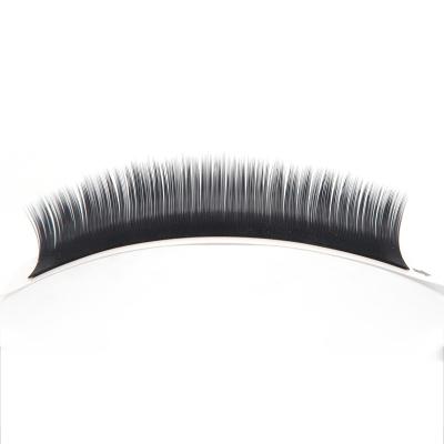 China Factory Long Natural Matte Lash Ellipse Flat Eyelashes Eyelash Extension for sale