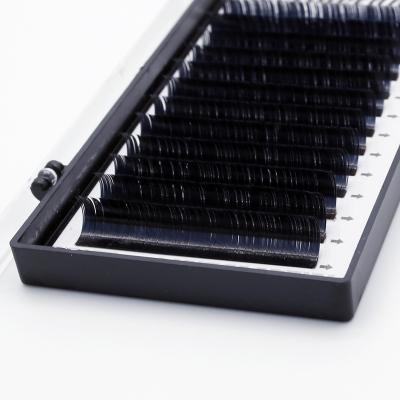 China Long natural quality is Trustworthy Lash Matte Ellipse Flat Eyelash Extension for sale